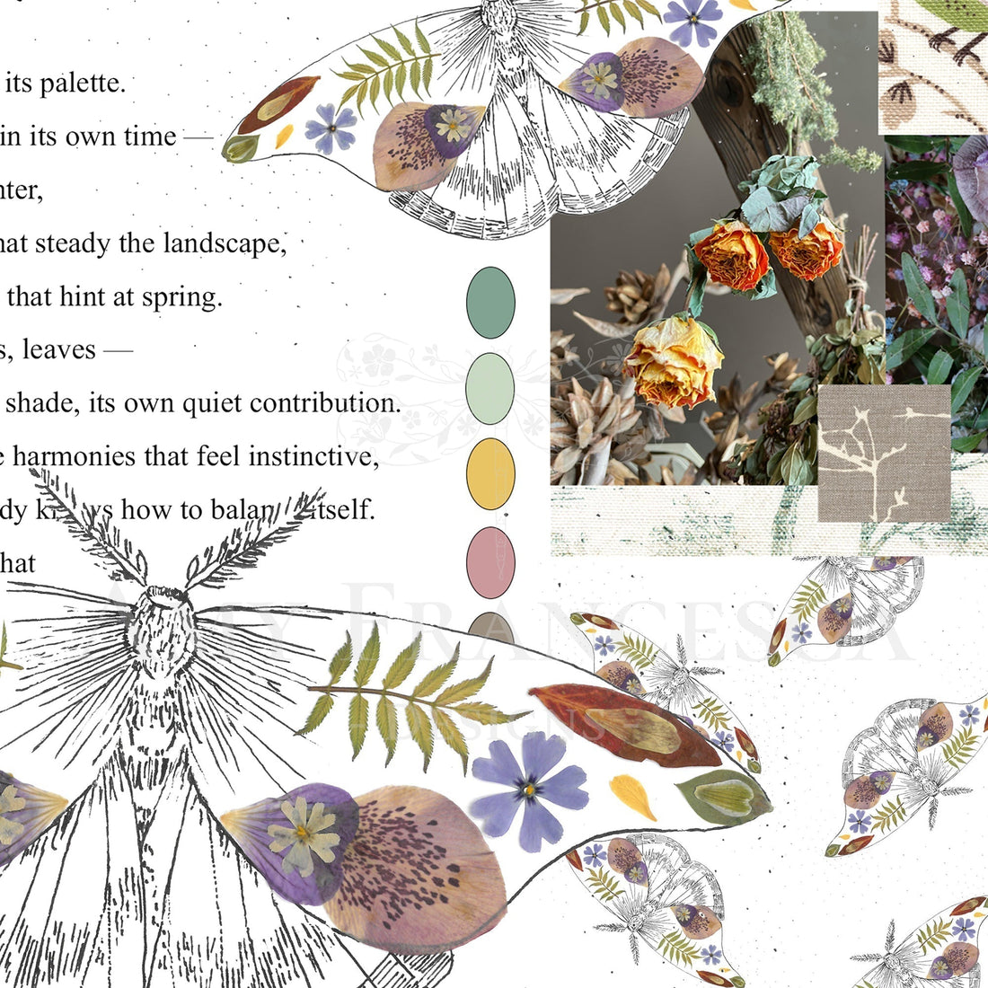 Collage combining botanical illustrations, moth drawings, dried flowers, colour swatches and partial text elements arranged as a design mood board.