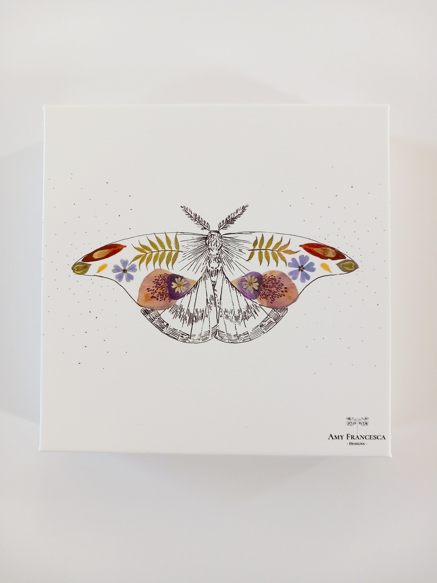 -Eco Canvas Prints- 'Floral Moth'