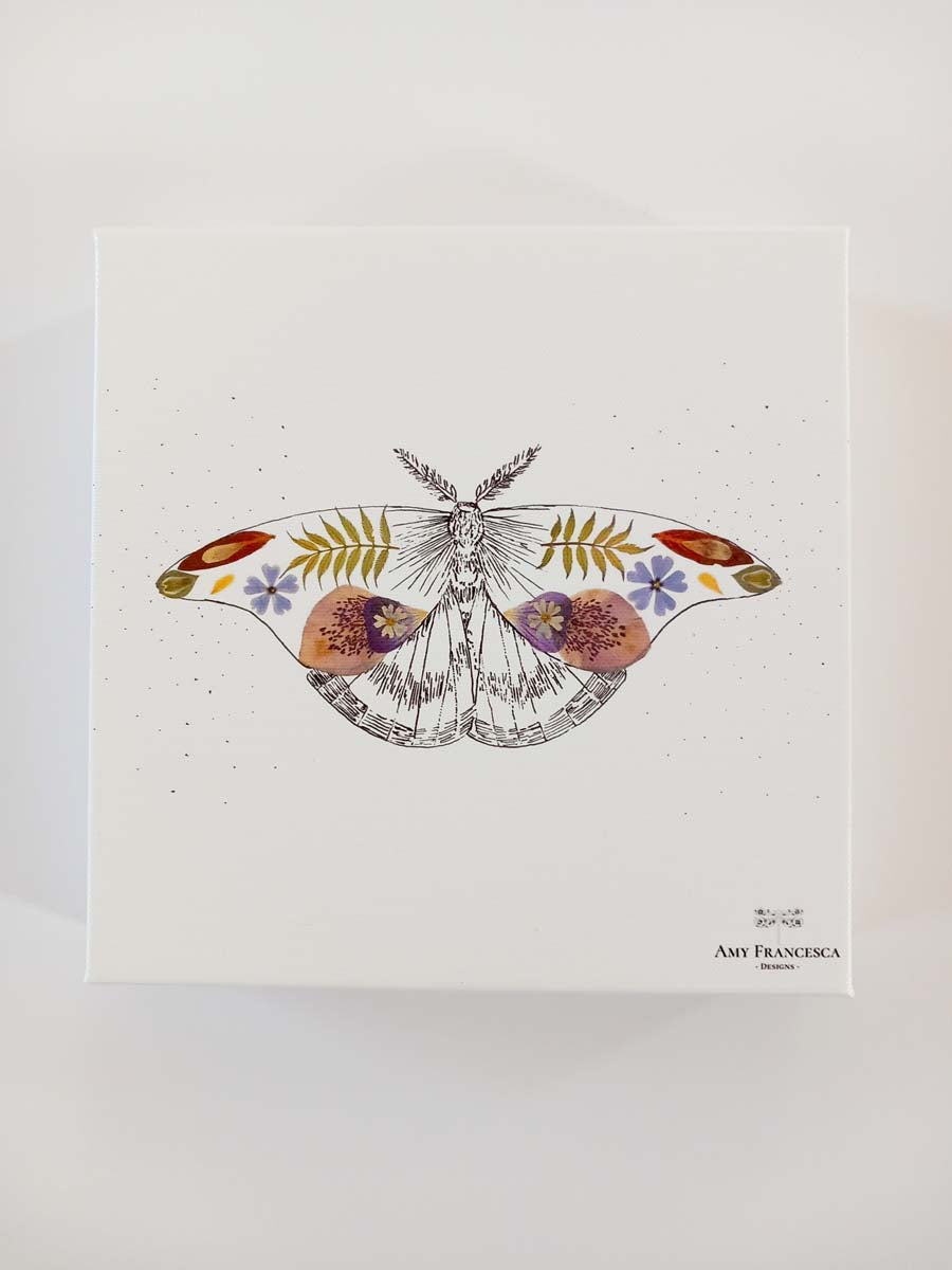 Canvas print featuring a moth illustration on a white background.