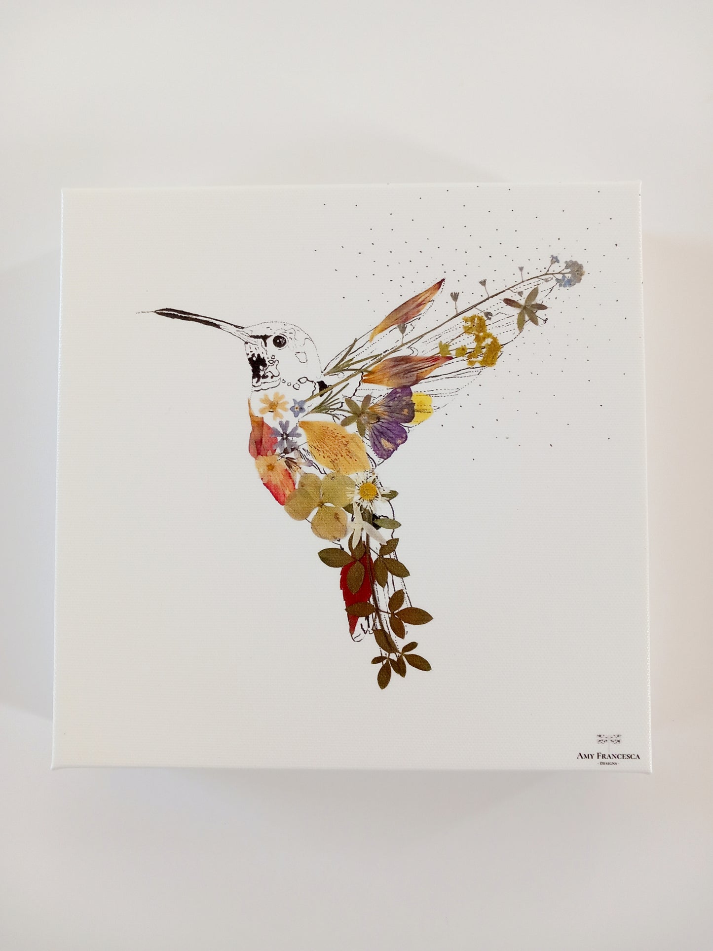 -Eco Canvas Prints- 'Hummingbird'