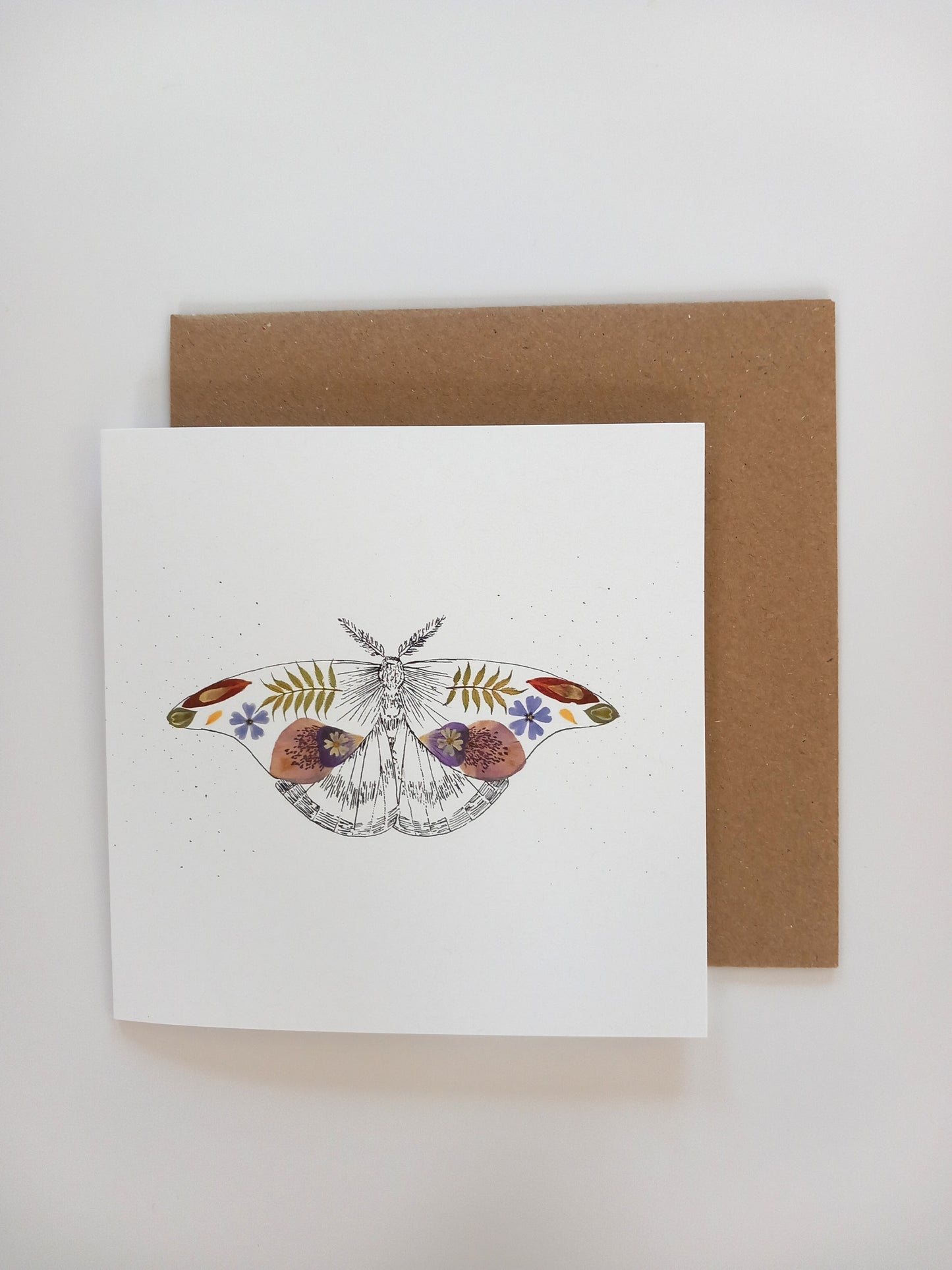-Cards- 'Floral Moth' (Pack of 10)