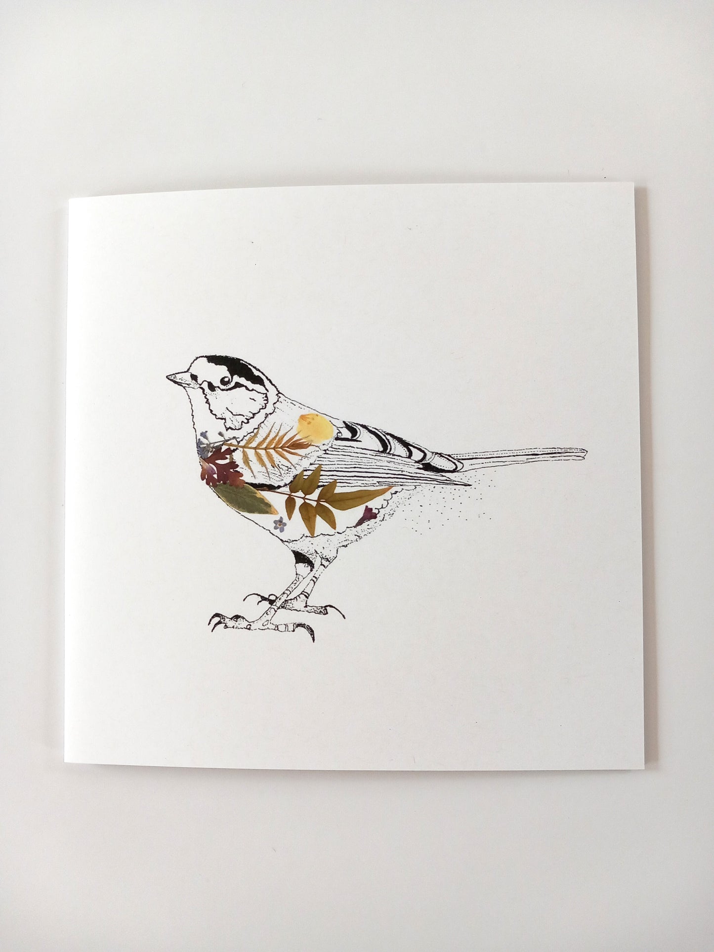 -Cards- 'Great Tit' (Pack of 10)