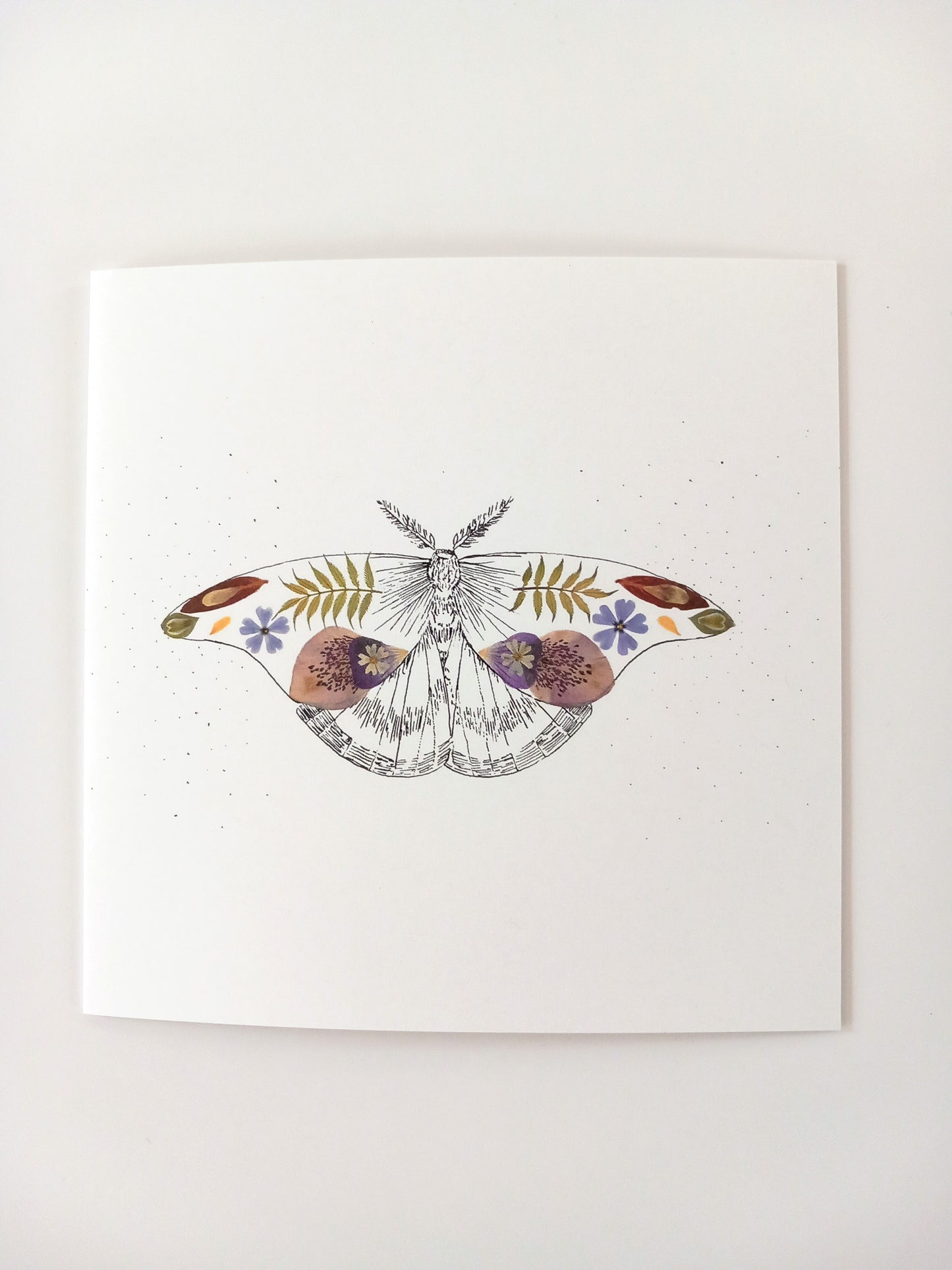 -Cards- 'Floral Moth' (Pack of 10)