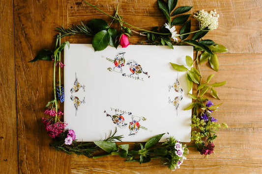 -Multi-Purpose Stonemax Platters- 'Great Tit Duo with Robin Duo'