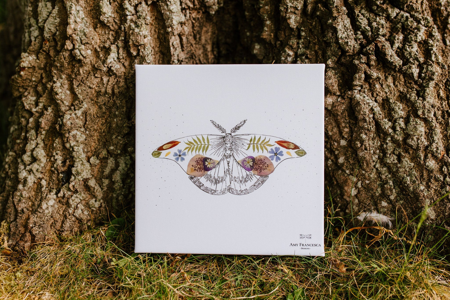 -Eco Canvas Prints- 'Floral Moth'