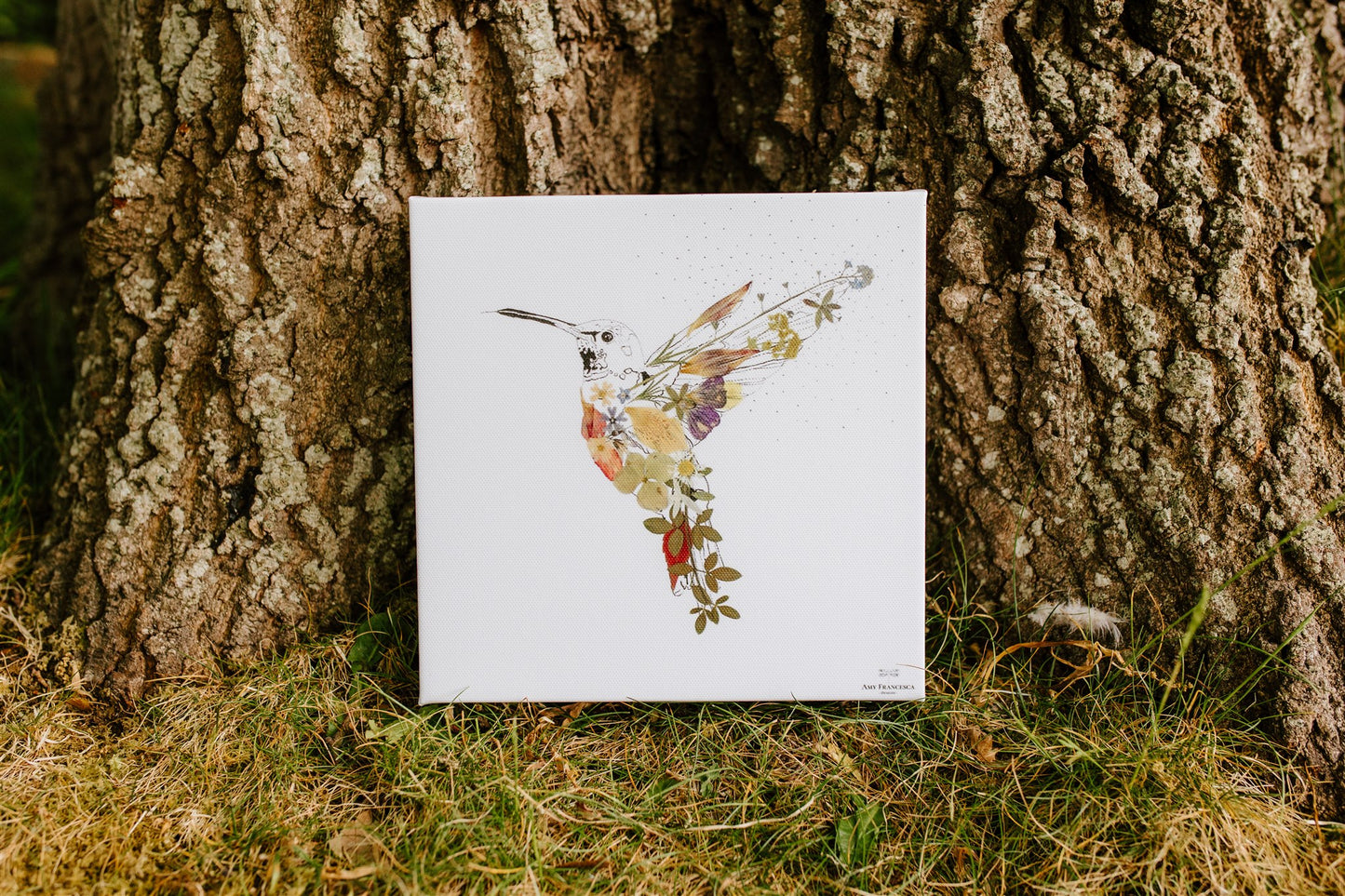 -Eco Canvas Prints- 'Hummingbird'