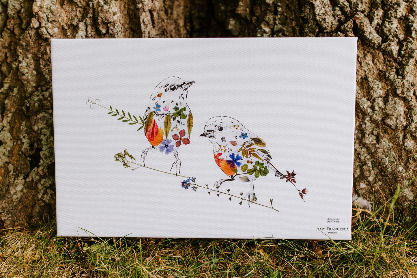 -Eco Canvas Prints- 'Robin Duo'