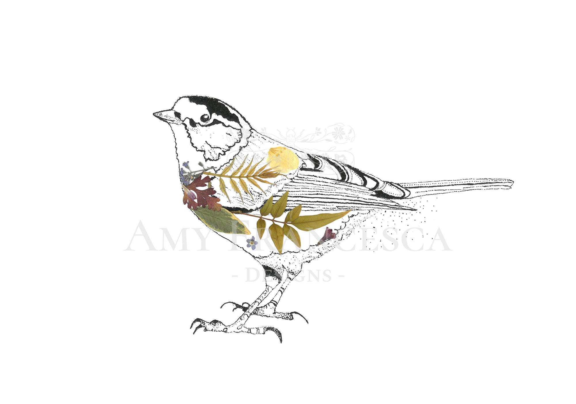 Illustration of a Great Tit with botanical elements integrated into the wings and body.