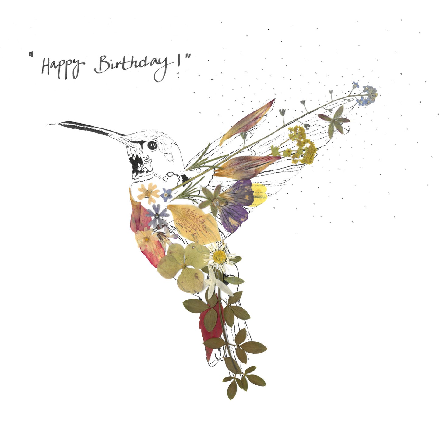 -Cards- 'Hummingbird' (Cover message: "Happy Birthday!")