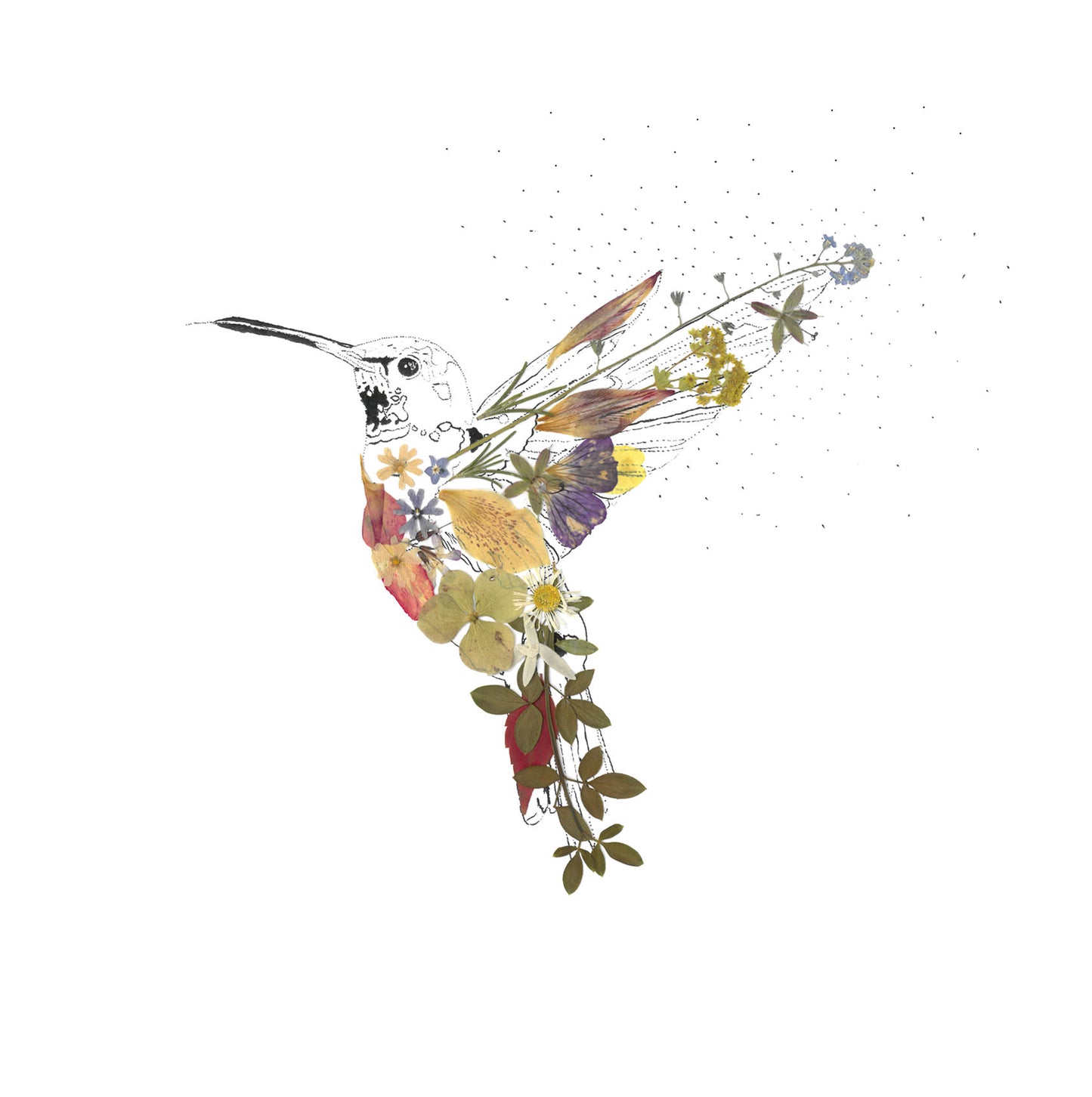 -Cards- 'Hummingbird'