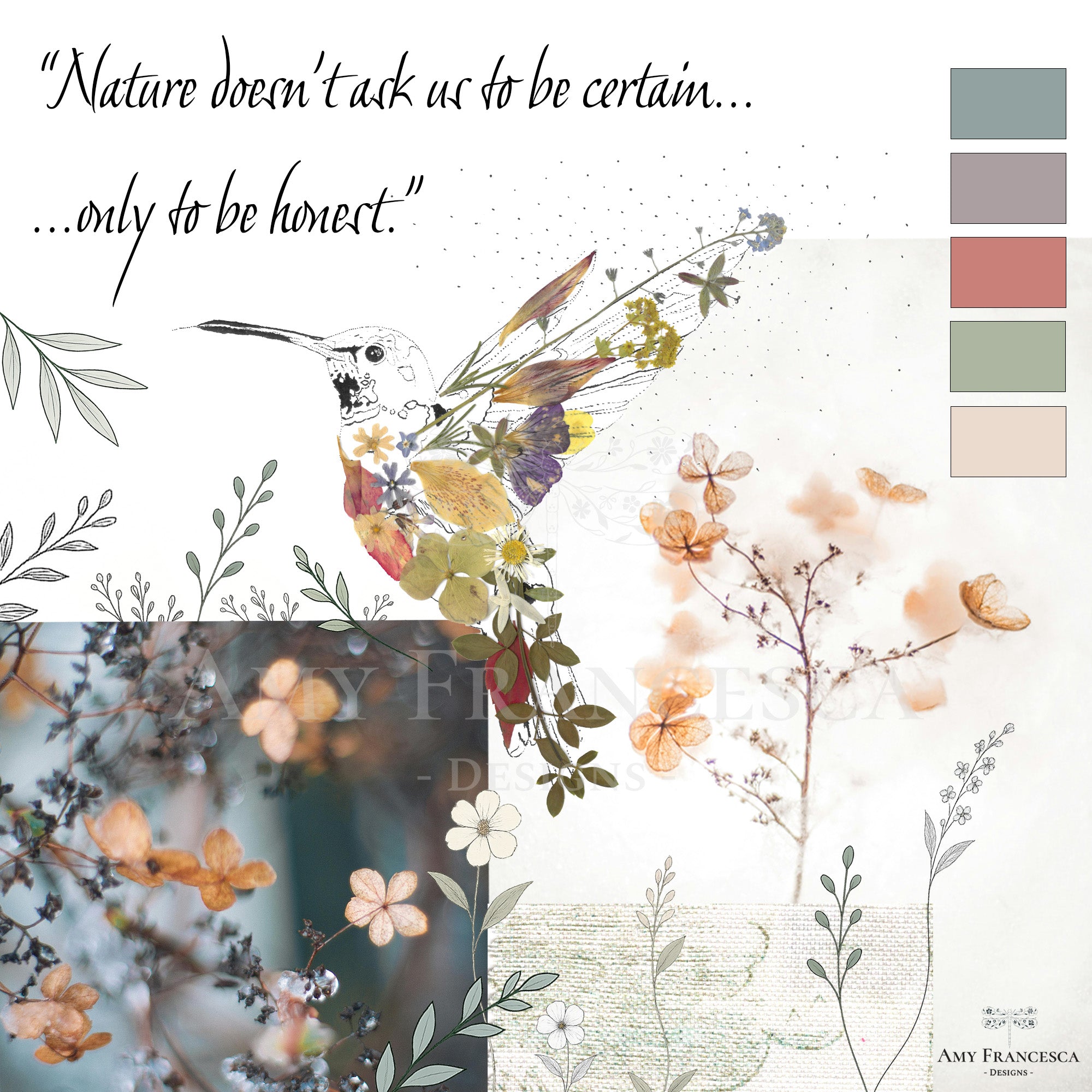 Illustrated quote piece featuring a hummingbird with surrounding botanical details, colour swatches and text on a light background.