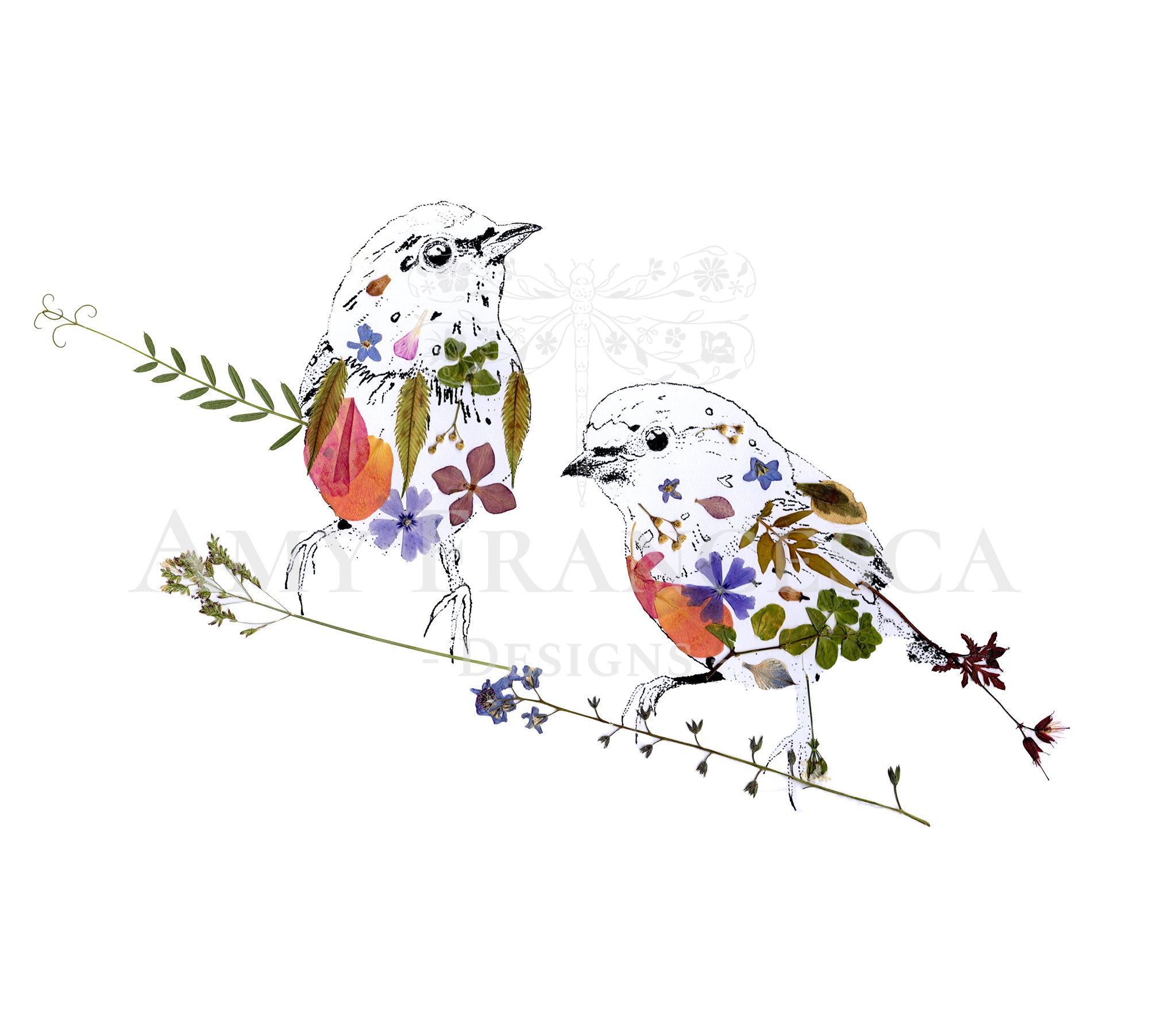 Illustration of two birds on branches with botanical elements integrated into their bodies and wings.