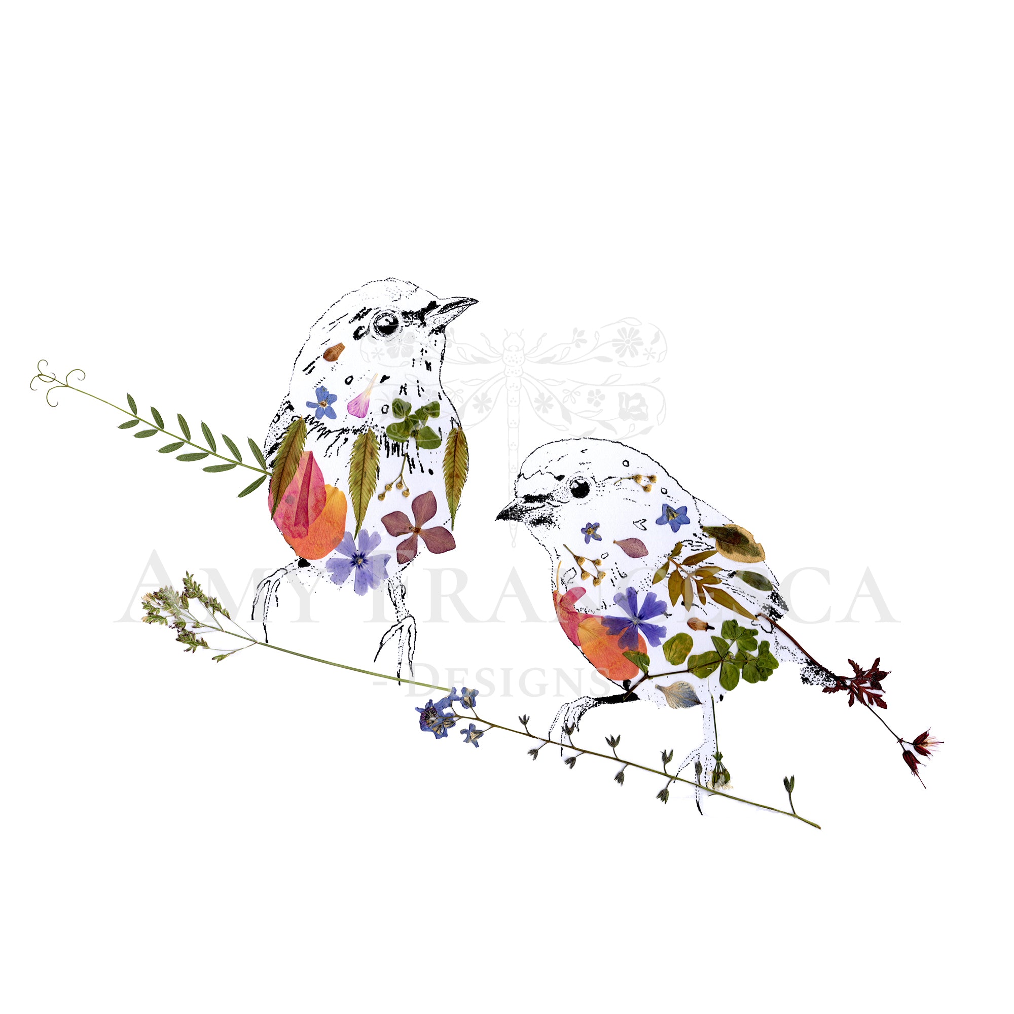 Illustration of two birds on branches with botanical elements integrated into their bodies and wings.