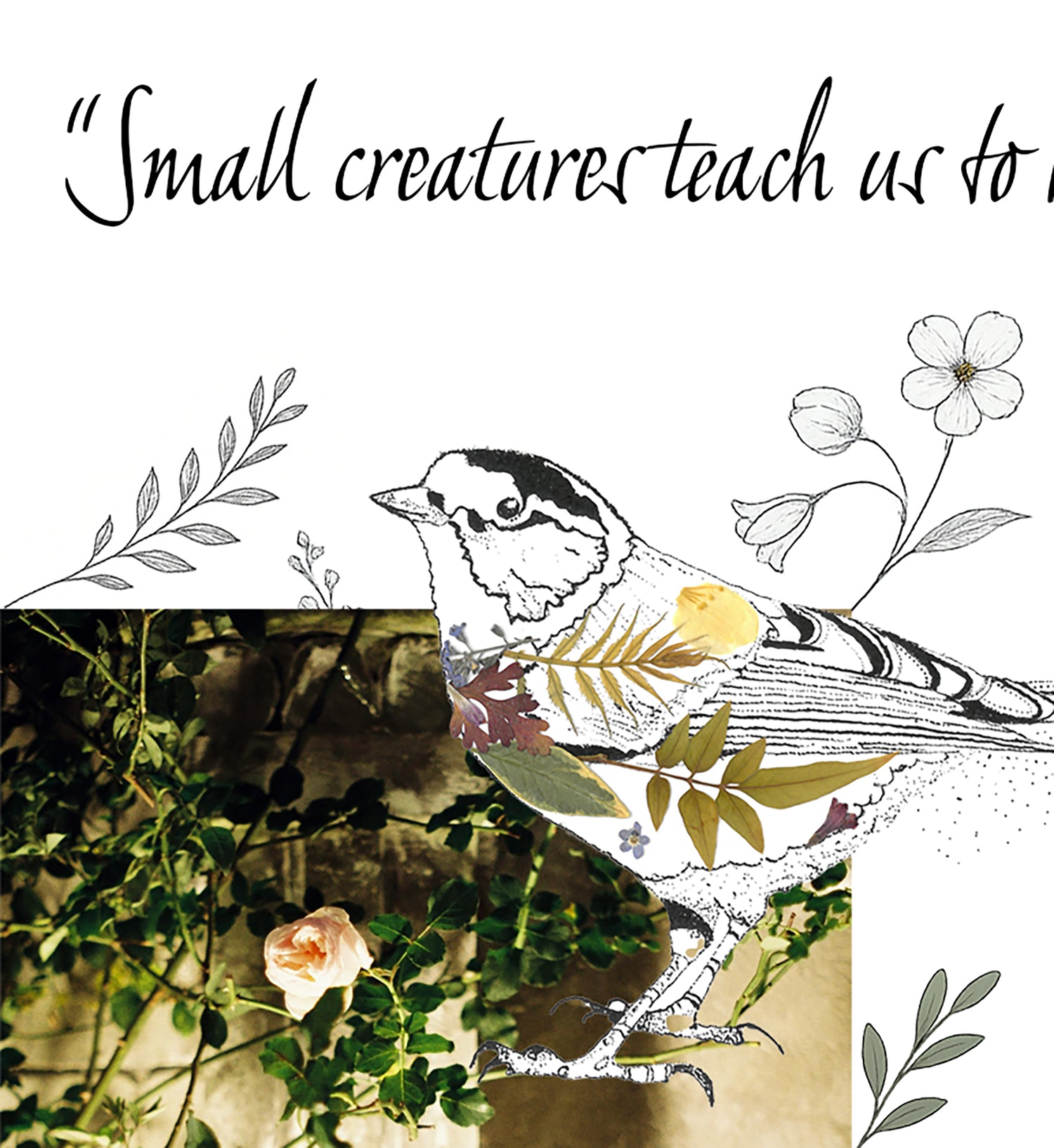 Illustration of a bird with surrounding leaves and flowers, shown with a background of green foliage and a pale rose with handwritten text above.