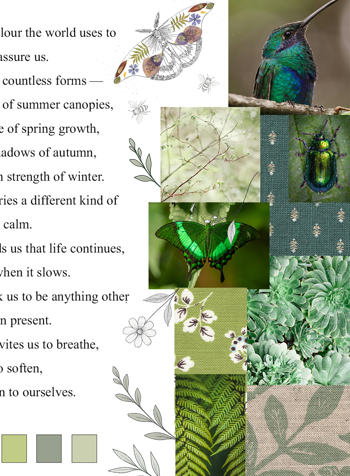 Collage featuring text, botanical drawings and photographs of green plants, insects and natural textures.