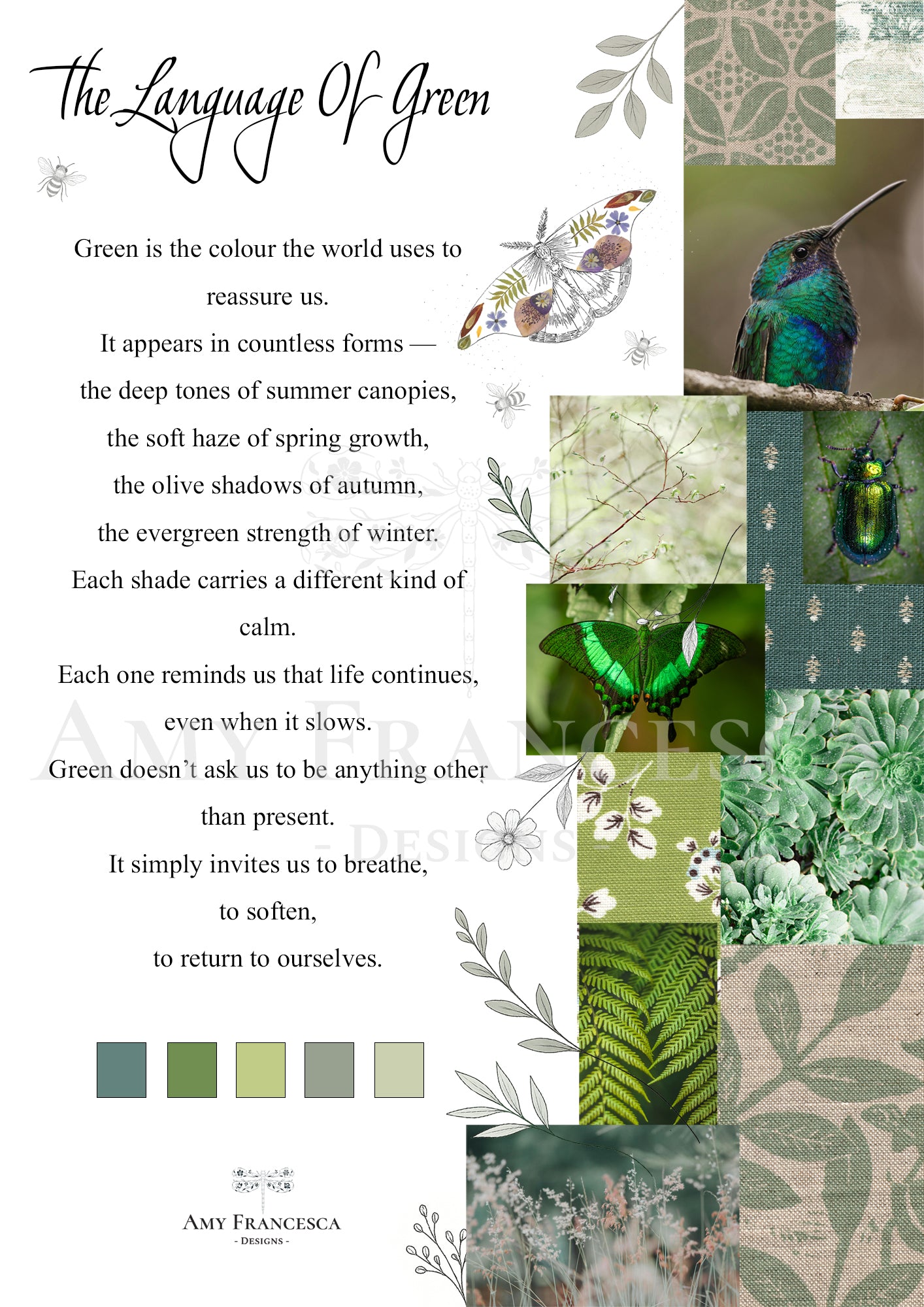 Panel featuring a moth illustration, a collage of nature photographs, floral and insect illustrative drawings, colour swatches and a block of text.