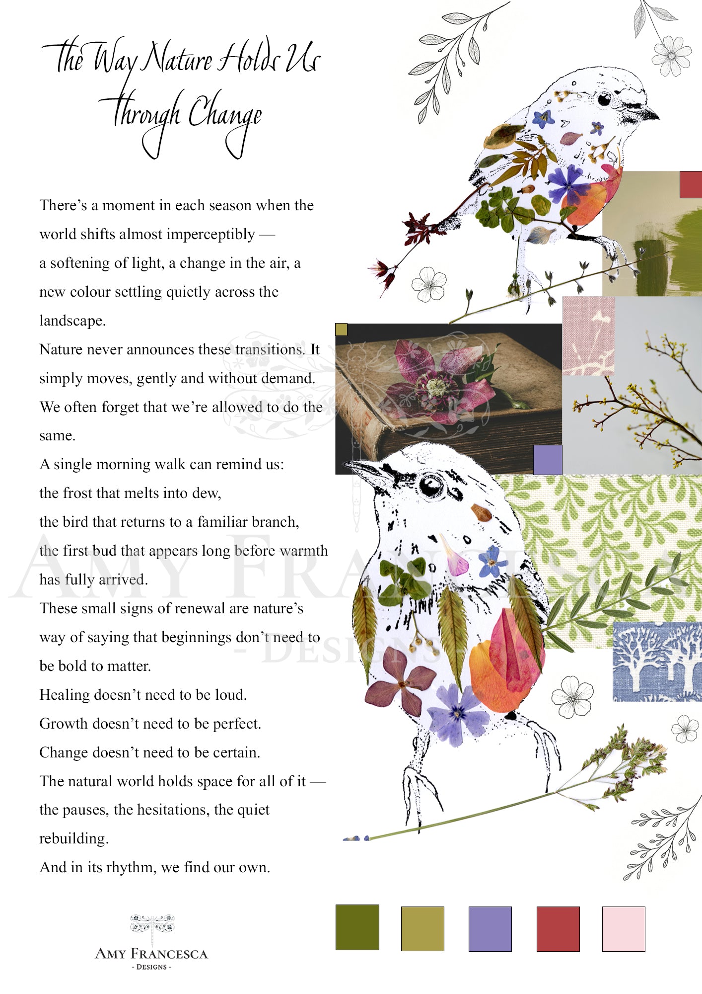 Panel featuring two bird illustrations with surrounding botanical details, colour swatches and a block of text.