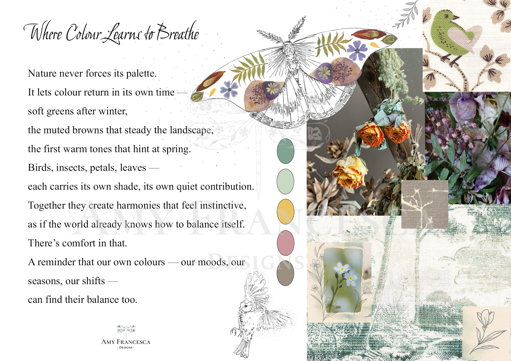 Panel featuring a moth illustration, small floral and bird drawings, a collage of nature photographs, colour swatches and a block of text.